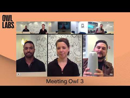 Meeting Owl 3